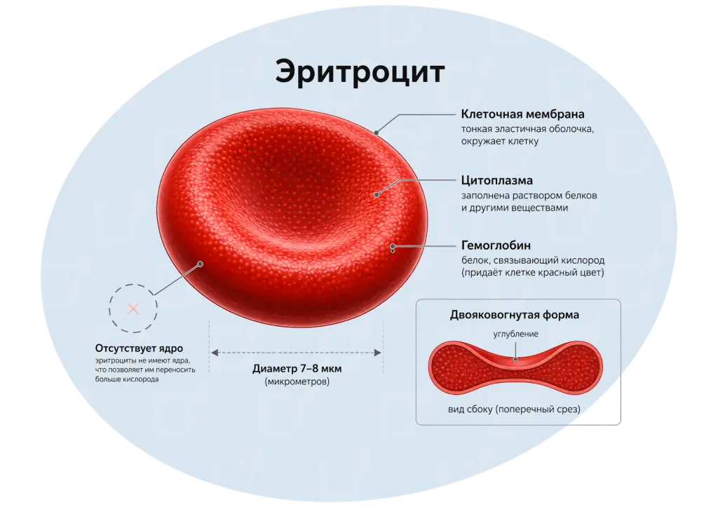 БЛОГ-05-02.png